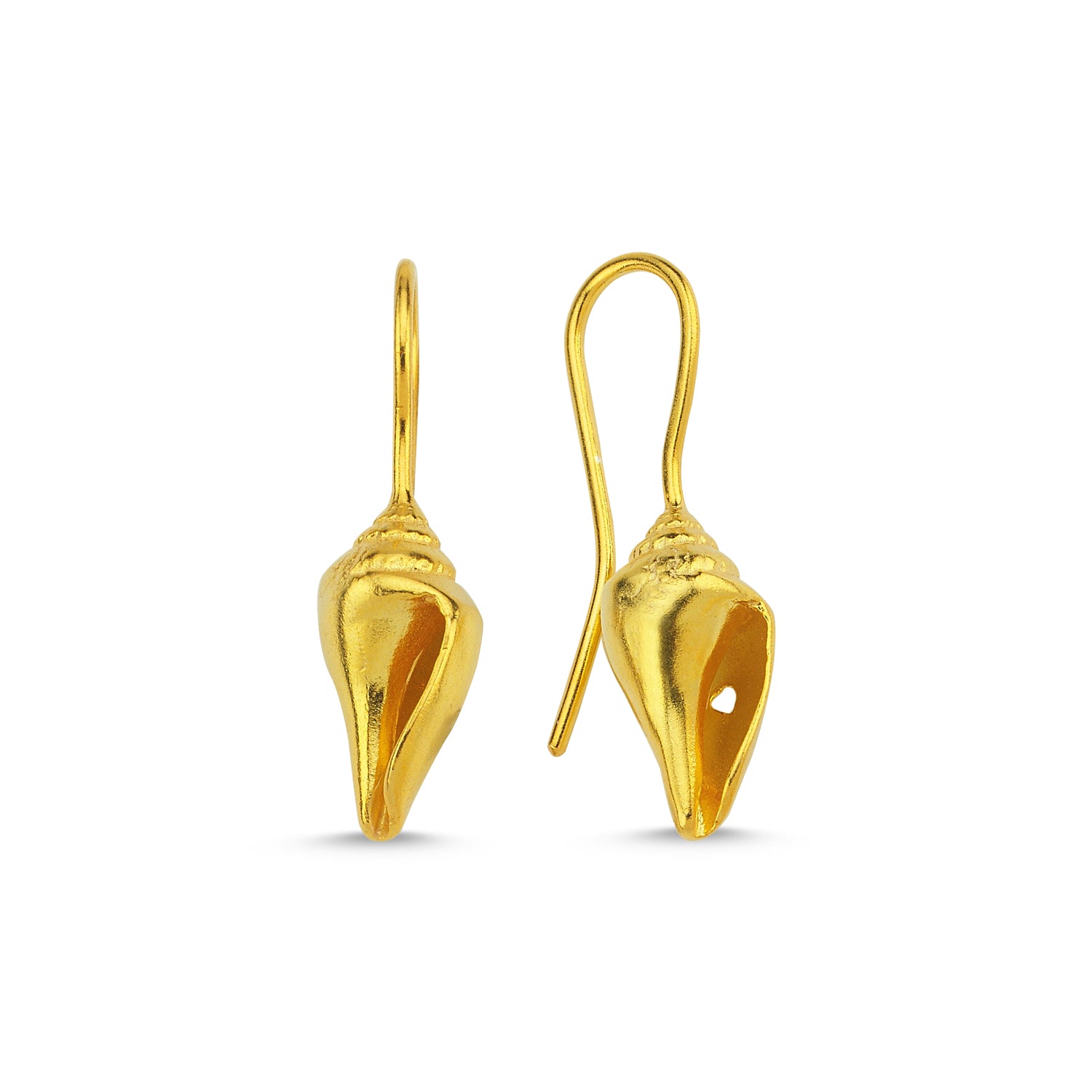 Conch Seashell Hoop Earrings